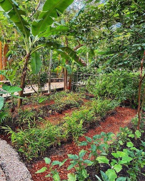 The tropical gardens of Tulia Zanzibar offer more than 400 species of exotic plants.