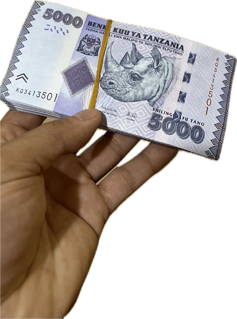 Bolt Zanzibar cash payment warning - Tanzanian shillings banknotes
